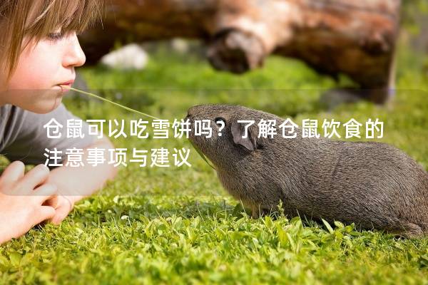 仓鼠可以吃雪饼吗？了解仓鼠饮食的注意事项与建议