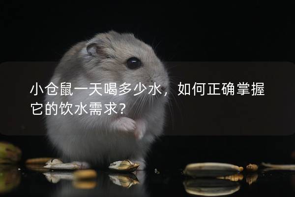 小仓鼠一天喝多少水，如何正确掌握它的饮水需求？