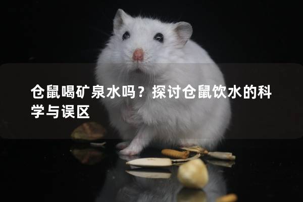 仓鼠喝矿泉水吗？探讨仓鼠饮水的科学与误区