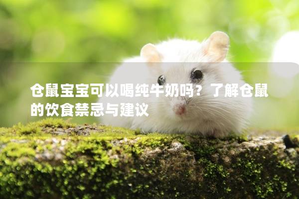 仓鼠宝宝可以喝纯牛奶吗？了解仓鼠的饮食禁忌与建议