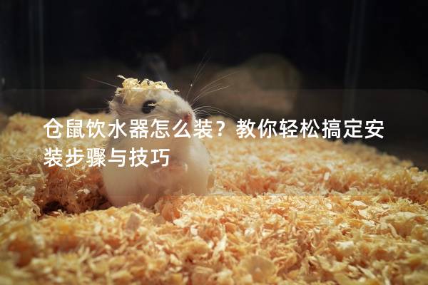 仓鼠饮水器怎么装？教你轻松搞定安装步骤与技巧