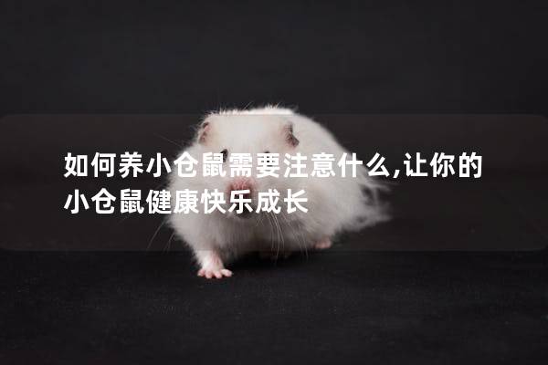如何养小仓鼠需要注意什么,让你的小仓鼠健康快乐成长