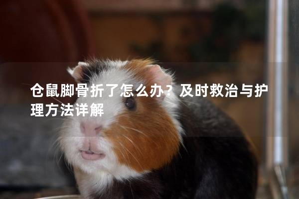 仓鼠脚骨折了怎么办？及时救治与护理方法详解