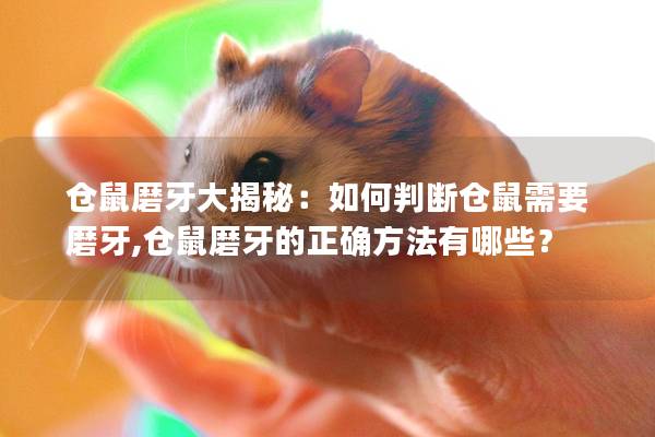 仓鼠磨牙大揭秘：如何判断仓鼠需要磨牙,仓鼠磨牙的正确方法有哪些？