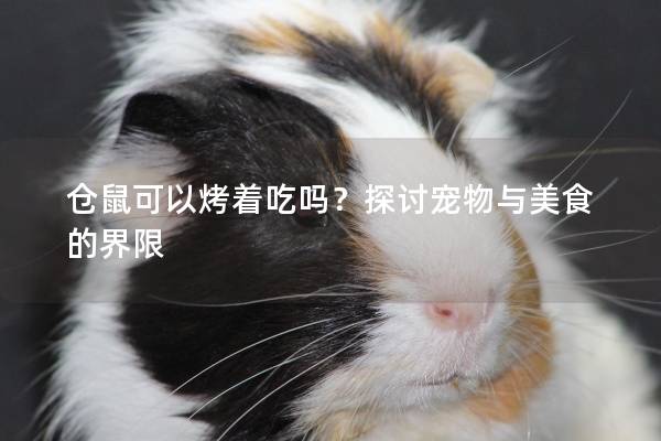 仓鼠可以烤着吃吗？探讨宠物与美食的界限