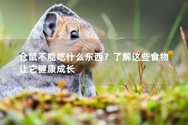 仓鼠不能吃什么东西？了解这些食物让它健康成长