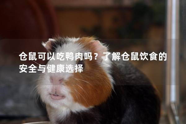 仓鼠可以吃鸭肉吗？了解仓鼠饮食的安全与健康选择