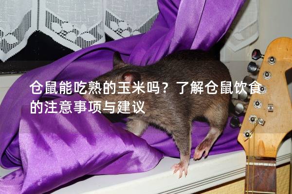 仓鼠能吃熟的玉米吗？了解仓鼠饮食的注意事项与建议