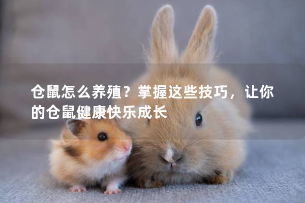 仓鼠怎么养殖？掌握这些技巧，让你的仓鼠健康快乐成长