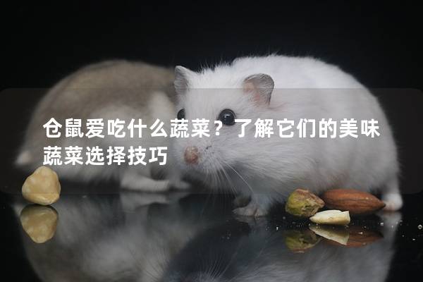 仓鼠爱吃什么蔬菜？了解它们的美味蔬菜选择技巧