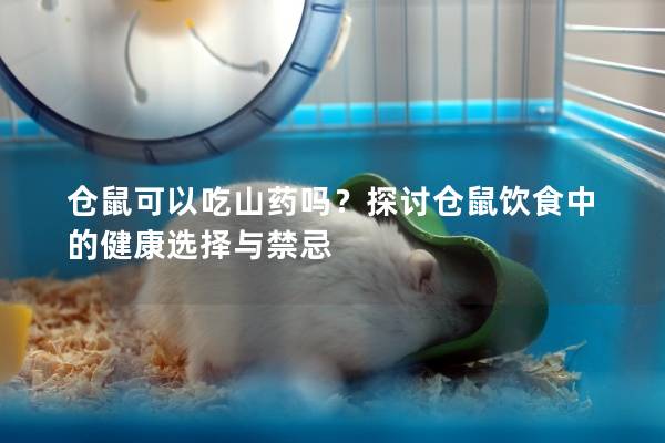 仓鼠可以吃山药吗？探讨仓鼠饮食中的健康选择与禁忌
