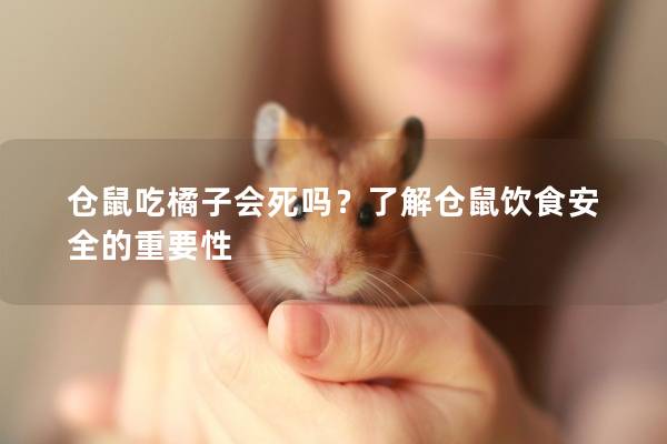 仓鼠吃橘子会死吗？了解仓鼠饮食安全的重要性