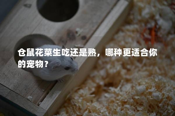 仓鼠花菜生吃还是熟，哪种更适合你的宠物？