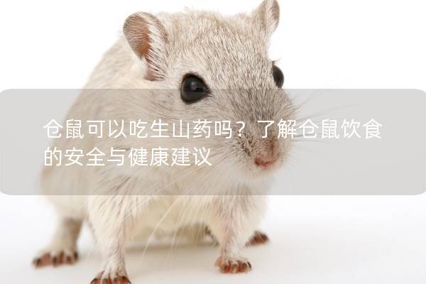 仓鼠可以吃生山药吗？了解仓鼠饮食的安全与健康建议