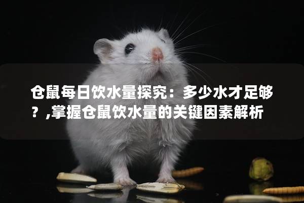 仓鼠每日饮水量探究：多少水才足够？,掌握仓鼠饮水量的关键因素解析