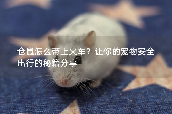 仓鼠怎么带上火车？让你的宠物安全出行的秘籍分享