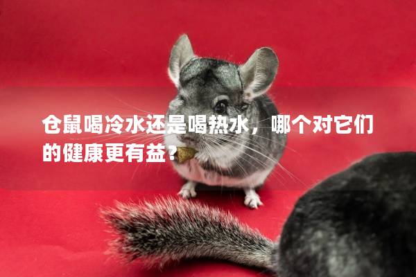 仓鼠喝冷水还是喝热水，哪个对它们的健康更有益？