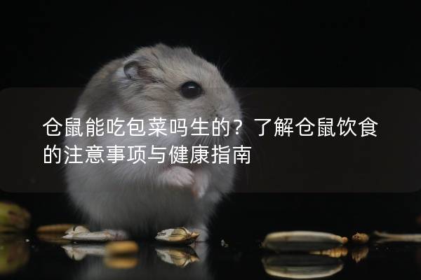 仓鼠能吃包菜吗生的？了解仓鼠饮食的注意事项与健康指南