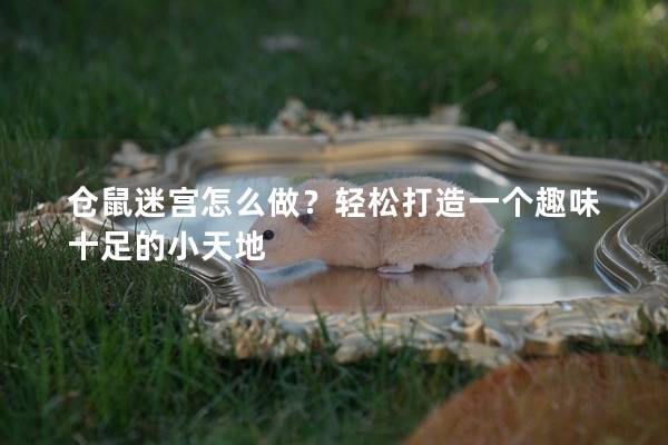 仓鼠迷宫怎么做？轻松打造一个趣味十足的小天地