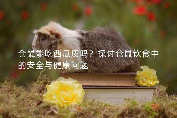 仓鼠能吃西瓜皮吗？探讨仓鼠饮食中的安全与健康问题