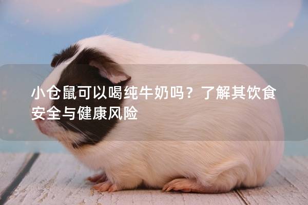 小仓鼠可以喝纯牛奶吗？了解其饮食安全与健康风险