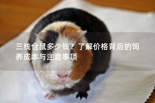 三线仓鼠多少钱？了解价格背后的饲养成本与注意事项