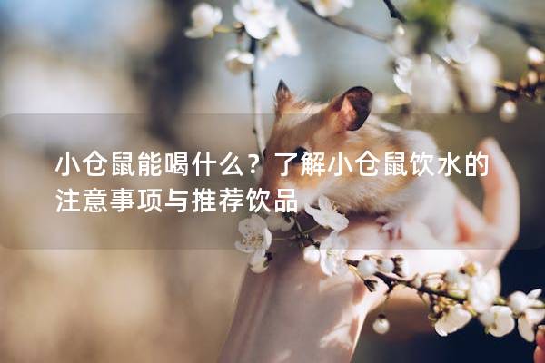 小仓鼠能喝什么？了解小仓鼠饮水的注意事项与推荐饮品