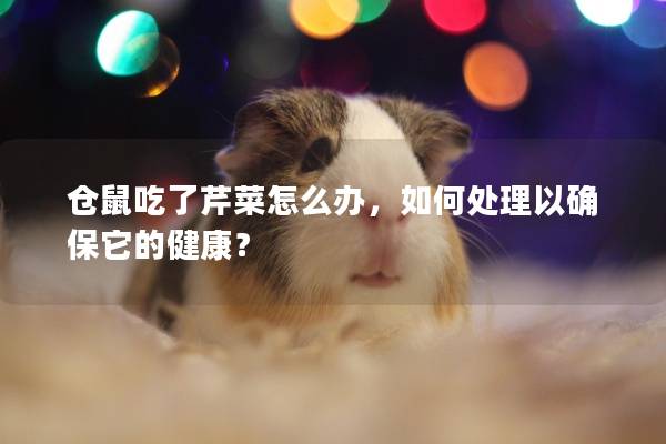 仓鼠吃了芹菜怎么办，如何处理以确保它的健康？