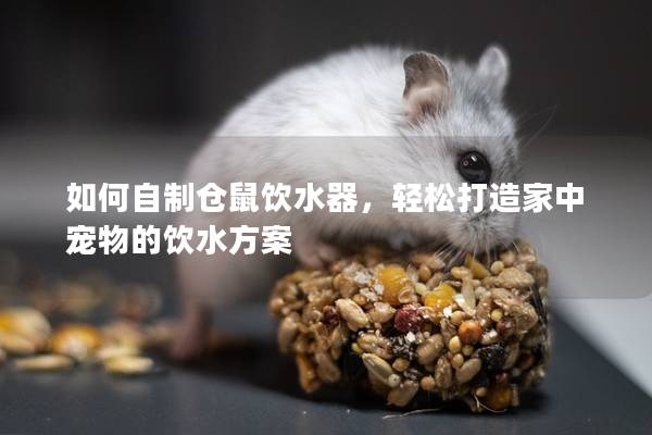 如何自制仓鼠饮水器，轻松打造家中宠物的饮水方案