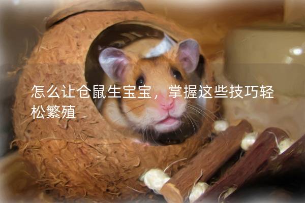 怎么让仓鼠生宝宝，掌握这些技巧轻松繁殖