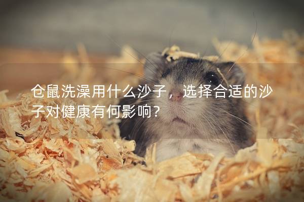 仓鼠洗澡用什么沙子，选择合适的沙子对健康有何影响？