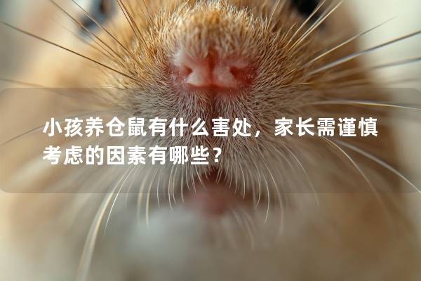 小孩养仓鼠有什么害处，家长需谨慎考虑的因素有哪些？