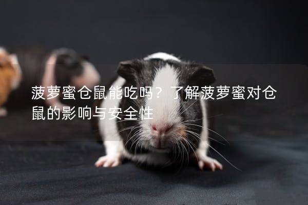 菠萝蜜仓鼠能吃吗？了解菠萝蜜对仓鼠的影响与安全性