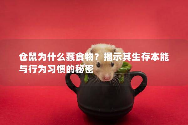 仓鼠为什么藏食物？揭示其生存本能与行为习惯的秘密