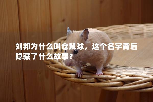 刘邦为什么叫仓鼠球，这个名字背后隐藏了什么故事？