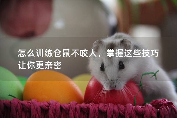 怎么训练仓鼠不咬人，掌握这些技巧让你更亲密