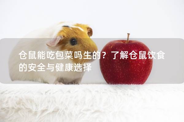 仓鼠能吃包菜吗生的？了解仓鼠饮食的安全与健康选择