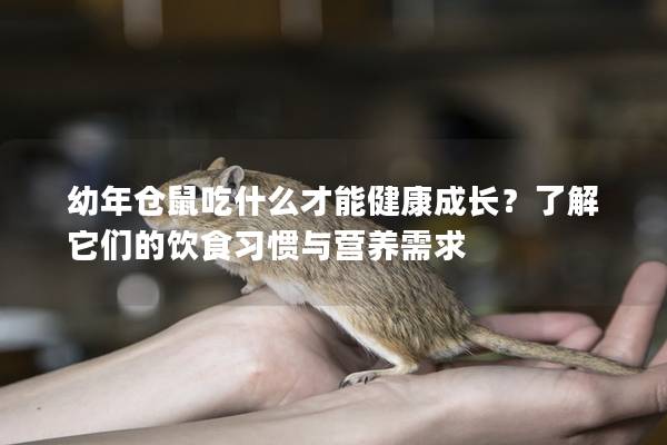 幼年仓鼠吃什么才能健康成长？了解它们的饮食习惯与营养需求