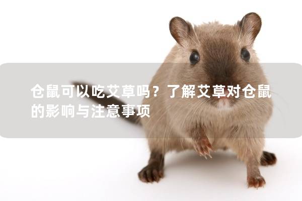 仓鼠可以吃艾草吗？了解艾草对仓鼠的影响与注意事项