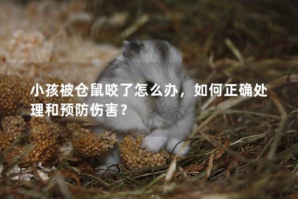 小孩被仓鼠咬了怎么办，如何正确处理和预防伤害？