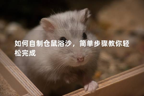 如何自制仓鼠浴沙，简单步骤教你轻松完成