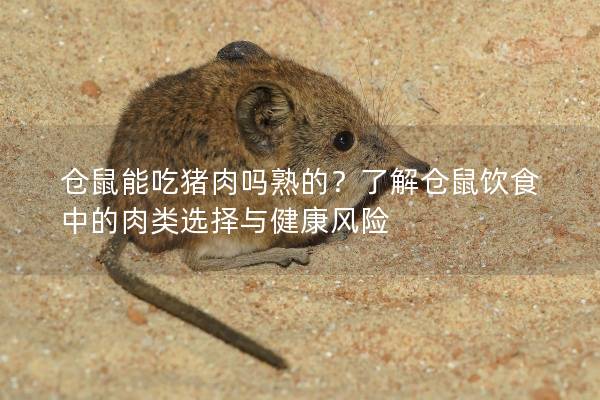 仓鼠能吃猪肉吗熟的？了解仓鼠饮食中的肉类选择与健康风险