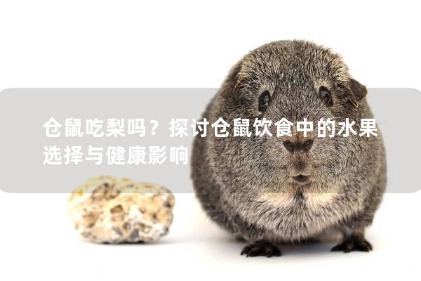 仓鼠吃梨吗？探讨仓鼠饮食中的水果选择与健康影响