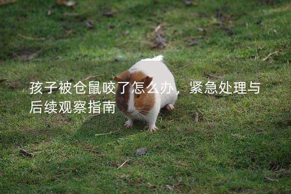 孩子被仓鼠咬了怎么办，紧急处理与后续观察指南