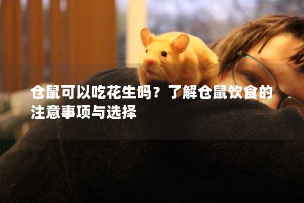 仓鼠可以吃花生吗？了解仓鼠饮食的注意事项与选择