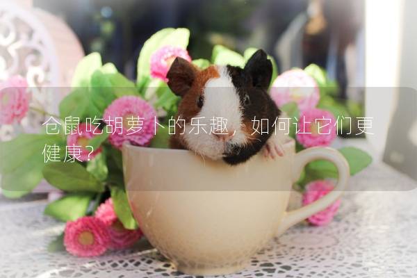 仓鼠吃胡萝卜的乐趣，如何让它们更健康？
