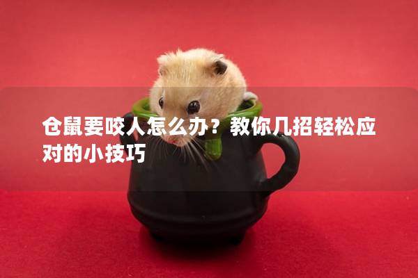 仓鼠要咬人怎么办？教你几招轻松应对的小技巧