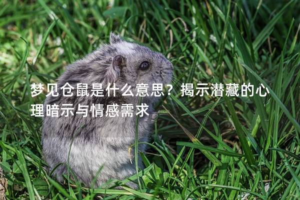 梦见仓鼠是什么意思？揭示潜藏的心理暗示与情感需求