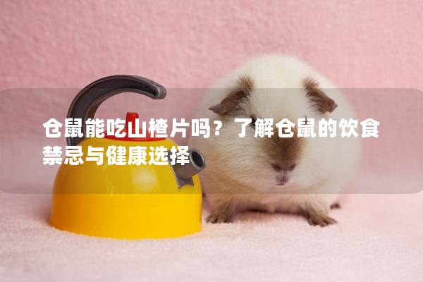 仓鼠能吃山楂片吗？了解仓鼠的饮食禁忌与健康选择