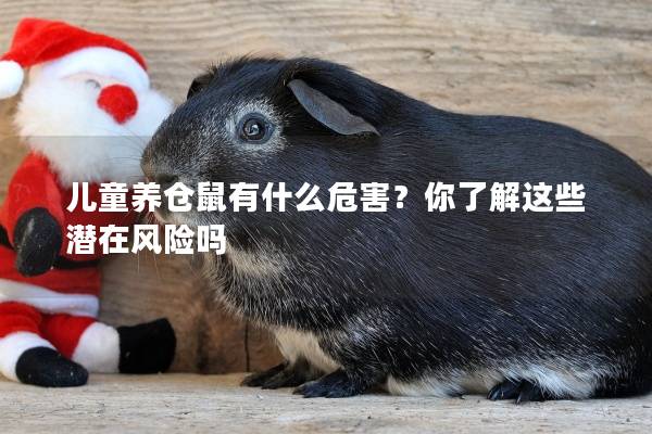 儿童养仓鼠有什么危害？你了解这些潜在风险吗